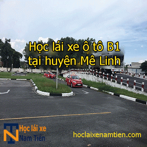 Hoc Lai Xe O To B1 Tai Huyen Me Linh