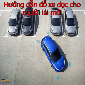 Huong Dan Do Xe Doc Cho Nguoi Lai Moi